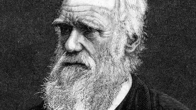 Nasce o naturalista Charles Darwin, autor de ?A Origem das espécies?