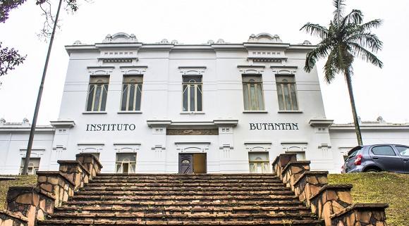 Incêndio atinge o Instituto Butantan em São Paulo