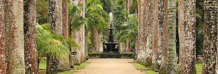 Jardim Botânico é criado no Rio de Janeiro