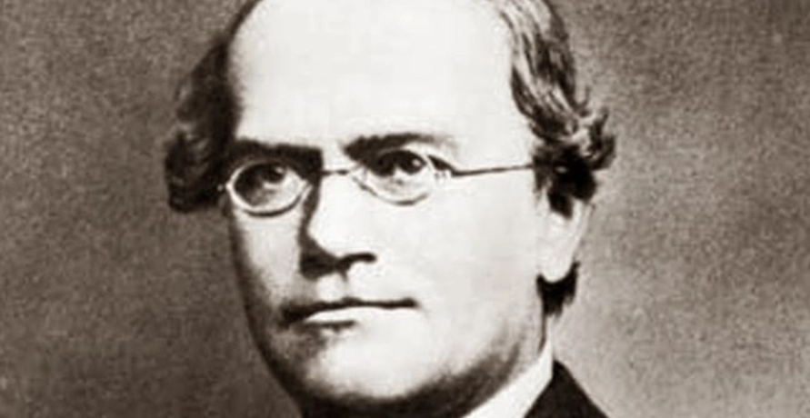 Nasce Gregor Mendel