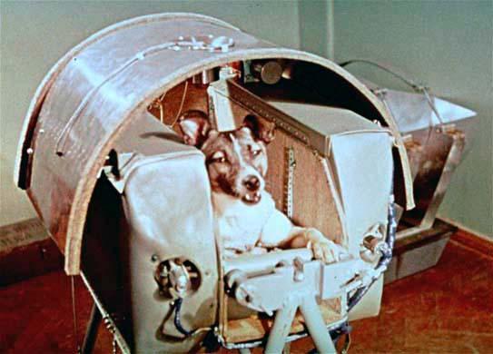 Cadela Laika torna-se o primeiro ser vivo a ser lançado ao espaço
